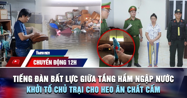 Chuyển động 12h: Tiếng đàn bất lực giữa tầng hầm ngập nước | Khởi tố chủ trại cho heo ăn chất cấm