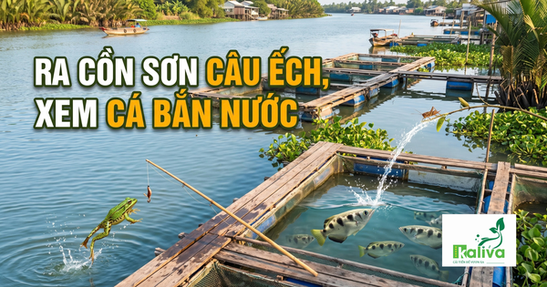 Cùng sống xanh số 169: Tạo nhiều trò chơi trên bè nuôi cá để giữ ký ức với ông bà