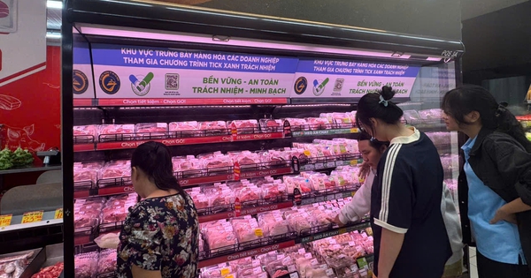 Giá heo hơi hôm nay 9.10.2026: Lùi gần về mức 51.000 đồng/kg