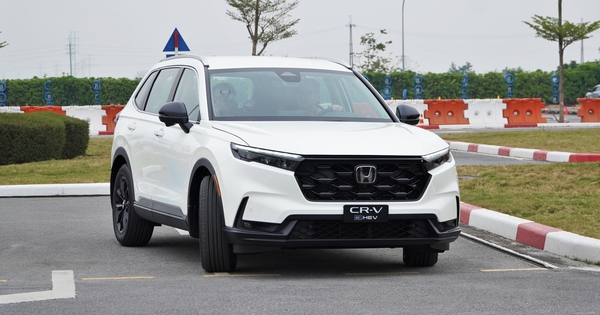 Xe hybrid có tạo được cú hích giữa thời xăng tăng giá?