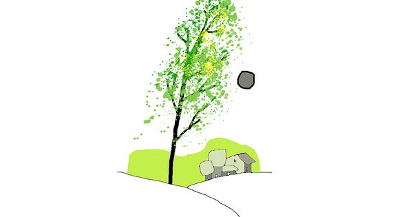 Nhớ Mimosa - Thơ của Vũ Trọng Quang