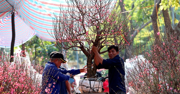 Nhà vườn chờ sức mua khởi sắc cận tết