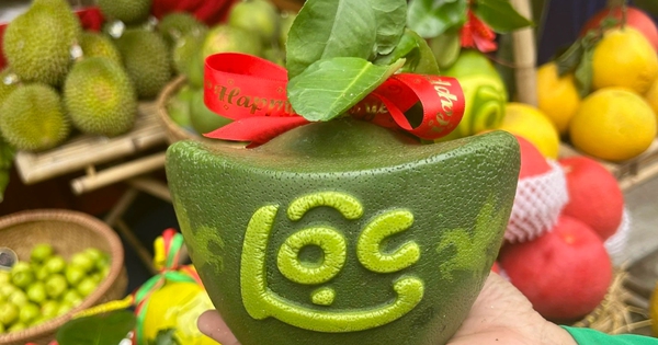 Bưởi mini thỏi vàng tài lộc 'bán bao nhiêu cũng hết' dịp tết