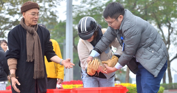 Người Hà Nội thả cá chép 'khổng lồ', đưa Táo quân về trời