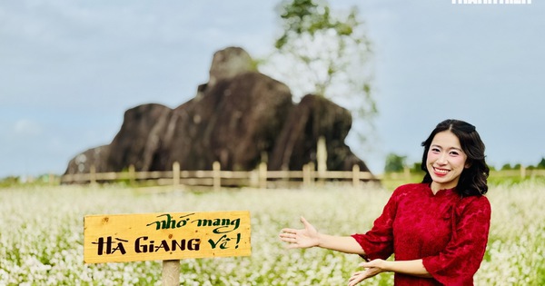 Cánh đồng hoa rực rỡ ở Quảng Ngãi thu hút đông đảo du khách dịp giáp Tết
