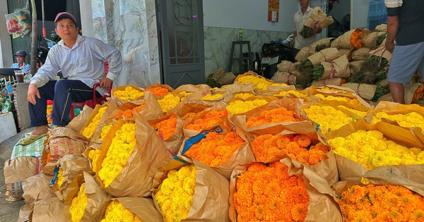 Chợ hoa lớn nhất TP.HCM chiều 23 tháng chạp: Cúc vạn thọ 'xả hàng' đại hạ giá