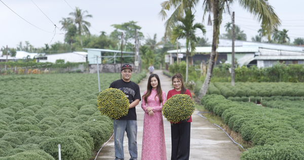 Đơn hàng cây cảnh hoa tết tăng gấp 5 lần trên sàn thương mại điện tử