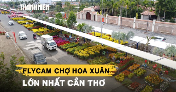 Chợ hoa xuân lớn nhất Cần Thơ có gì đặc biệt khi người bán không tốn tiền thuê sạp?