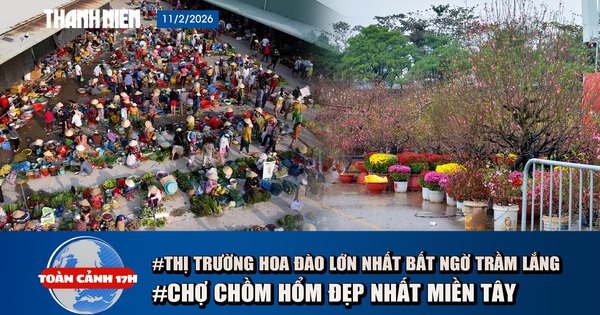 Toàn cảnh 17h: Thị trường hoa đào tại Hà Nội bất ngờ trầm lắng | Cận cảnh chợ chồm hổm đẹp nhất miền Tây