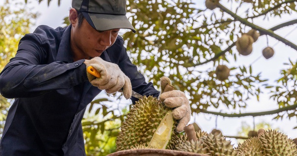 Nông sản Việt tiến thẳng vào kỷ nguyên xanh