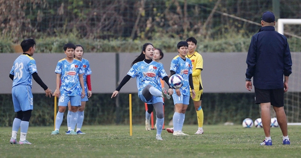 Đội tuyển nữ Việt Nam sẵn sàng trở lại World Cup