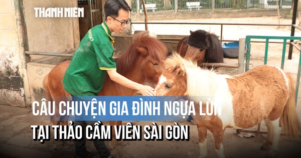 Gia đình ngựa lùn Thảo Cầm Viên Sài Gòn thu hút du khách dịp Tết Bính Ngọ 2026