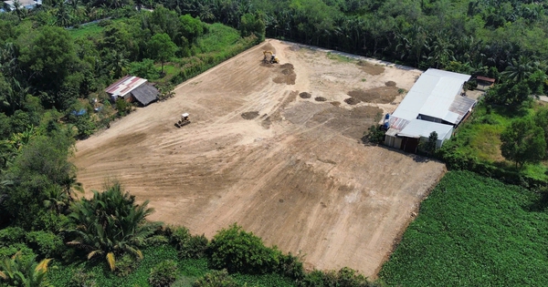 San lấp trái phép 1.800 m² đất cây lâu năm tại TP.HCM: Chủ đất ở nước ngoài, xử lý bế tắc?