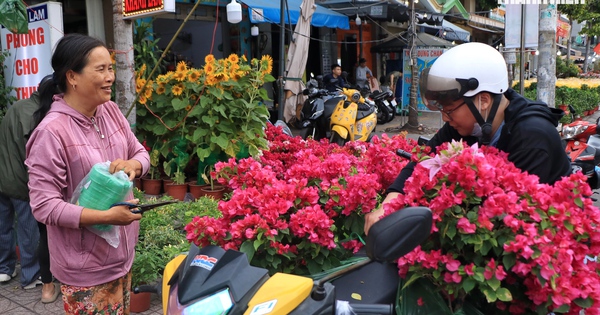 Bất ngờ hoa tết ở TP.HCM: Nhà vườn gặp khách sộp, liền lì xì ngược lại khách