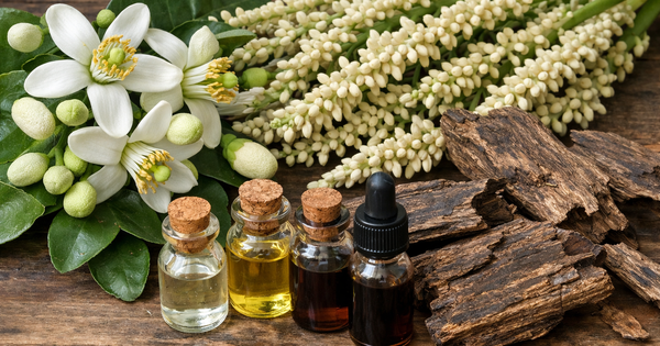 Bác sĩ giải thích: Mùi hương ngày Tết tác động trực tiếp lên não bộ và cảm xúc