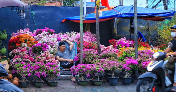 Nỗi niềm hoa tết ở TP.HCM: Không hét giá, mong về miền Tây kịp đêm giao thừa