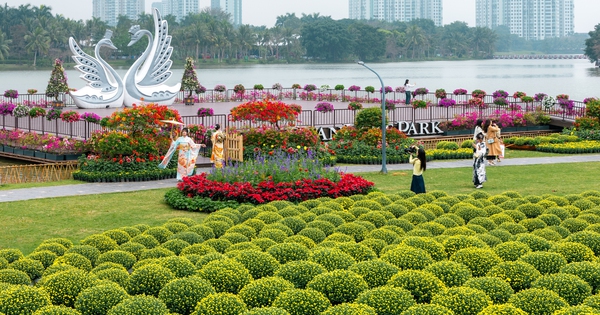 Ecopark tràn ngập sắc hoa các đại đô thị khắp 3 miền dịp Tết Bính Ngọ 2026