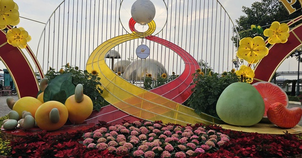 Trái điều Bình Phước 'sánh vai' cùng bưởi Tân Triều tại đường hoa ven sông Đồng Nai