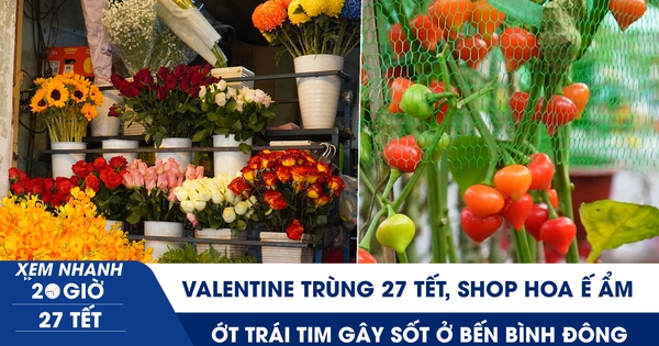 Xem nhanh 20h ngày 27 tết: Valentine cận tết, shop hoa ế ẩm | Ớt trái tim gây sốt ở Bến Bình Đông