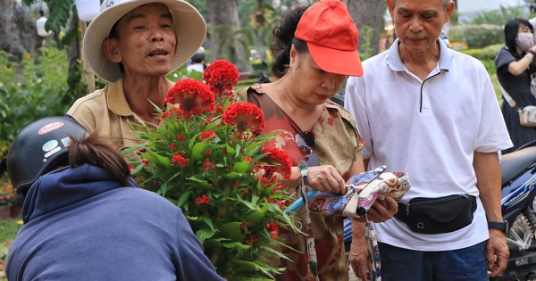 Chợ hoa tết TP.HCM chiều 27 tết, người bán cười tươi: 'Sắp về nhà rồi!'