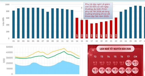 EVN triển khai kế hoạch đảm bảo điện an toàn, ổn định dịp Tết Nguyên đán 2026
