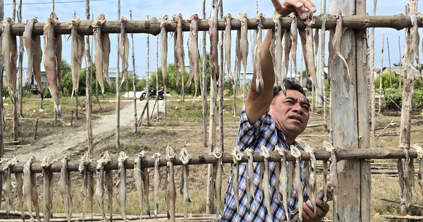 Không khí tết nhộn nhịp ở cửa biển Cái Đôi Vàm, Cà Mau: Ngư dân bám biển, làng nghề khô tất bật