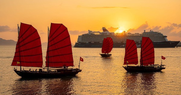 Đại Lộ Ngàn Hoa Bên Vịnh Hạ Long: Điểm Check-In Rực Rỡ Dịp Tết Nguyên Đán
