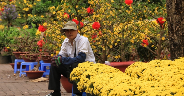 Chợ hoa Tết 23/9 TP.HCM: Rực rỡ sắc xuân nhưng thương lái thấp thỏm lo âu