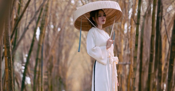 Ninh Dương Lan Ngọc: Hành trình từ 'ngọc nữ' đến nữ hoàng phòng vé và doanh nhân thành đạt