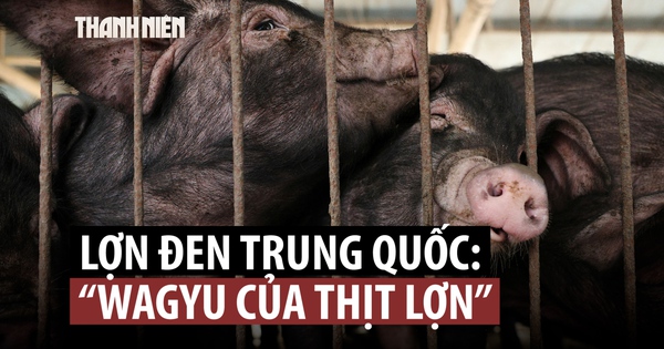 Bất ngờ loại 'Wagyu thịt lợn' lên ngôi tết này ở Trung Quốc