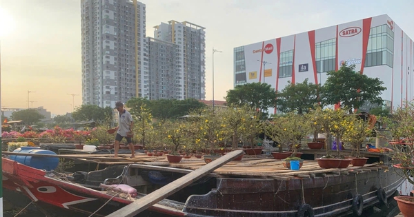 Mưu sinh ở Bến Bình Đông: Những chiếc ghe chở cả một cái tết