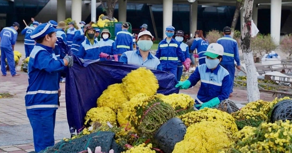 Những người lặng lẽ dọn rác trước giao thừa: 'Thấy phố sạch, chúng tôi ấm lòng'
