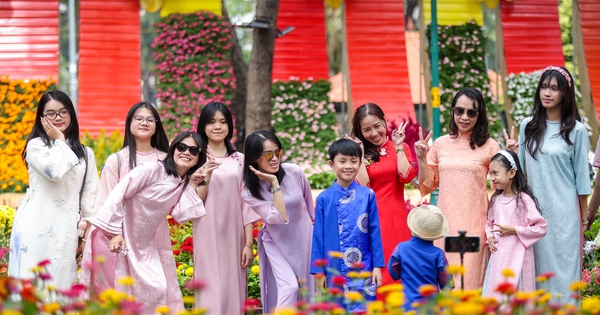 Chuyên gia gợi ý 30 câu chúc Tết Bính Ngọ 2026 bằng tiếng Anh độc đáo