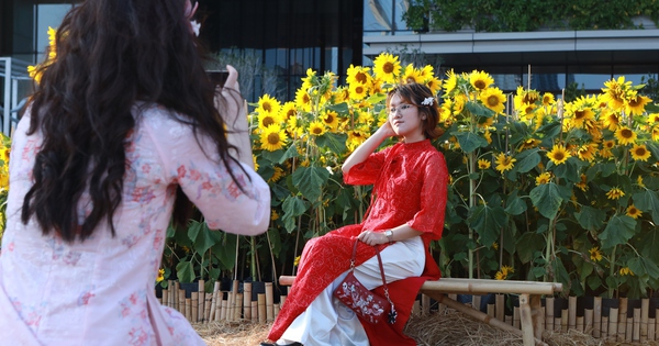 Sau giao thừa cả nhà cùng nhau đi du lịch