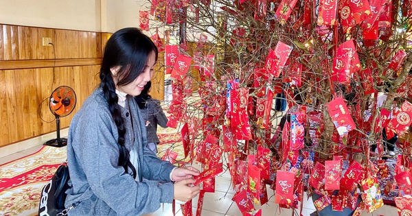 Sáng Mùng 1 Tết: Người trẻ Đà Nẵng rộn ràng đi chùa 'hái' lộc, cầu bình an