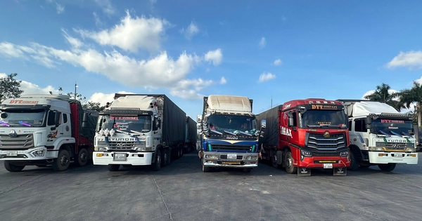 Cửa khẩu quốc tế Lao Bảo thông quan lô hàng đầu năm mới