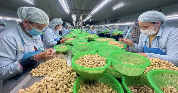 Hạt điều Việt Nam chinh phục thị trường Trung Quốc, xuất khẩu tăng vọt dịp Tết