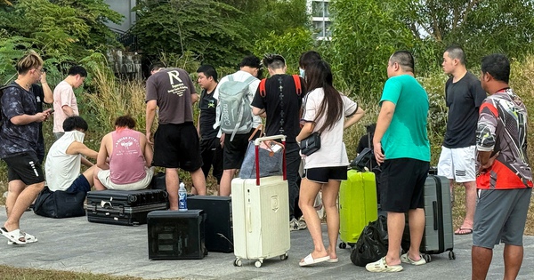 Campuchia thiệt hại hàng chục triệu USD vì lừa đảo trực tuyến