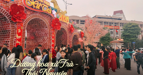 Thái Nguyên khai mạc Đường hoa xứ Trà quy mô lớn đầu tiên sau mở rộng đô thị