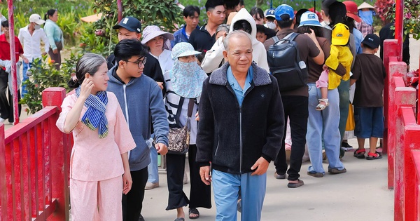 Núi Cấm Đón Gần 45.000 Du Khách Trong 3 Ngày Tết, Tăng 8,8% So Cùng Kỳ