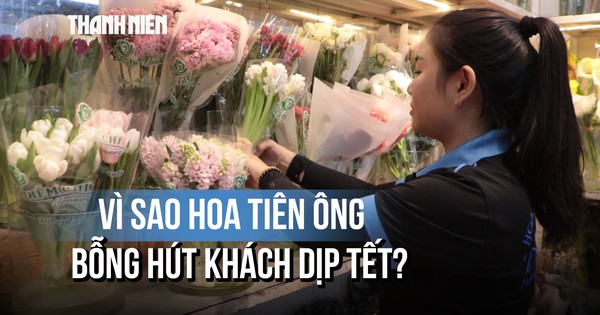 Chợ hoa Hồ Thị Kỷ: Hoa Tiên Ông được khách hỏi mua liên tục dịp Tết