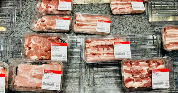 Giá heo hơi hôm nay 3.2.2026: Giảm nhanh
