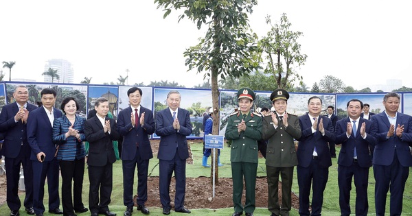 Trồng thêm một cây là gửi thêm niềm tin vào tương lai