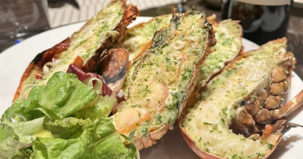 Vượt Mỹ và Canada, Việt Nam là nhà cung cấp tôm hùm số 1 cho Trung Quốc