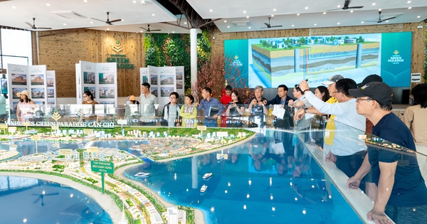 Kết hợp du xuân và tìm kiếm cơ hội đầu tư ở Cần Giờ