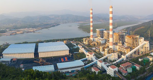 Khởi tố Phó tổng giám đốc Công ty CP nhiệt điện Quảng Ninh Lê Việt Cường