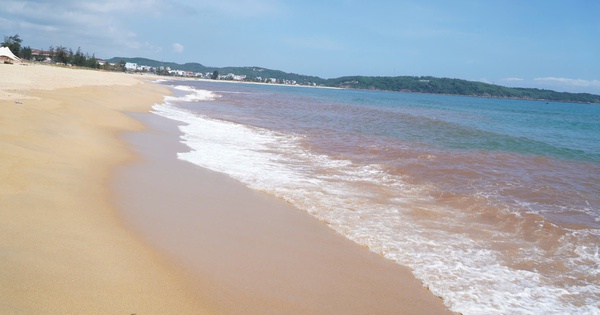 Thực hư hiện tượng thủy triều đỏ tại bãi biển Gia Lai