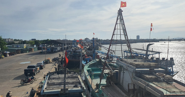 EU Tiến Hành Đợt Thanh Tra IUU Thứ 5, Quyết Định Thẻ Vàng Cho Thủy Sản Việt Nam