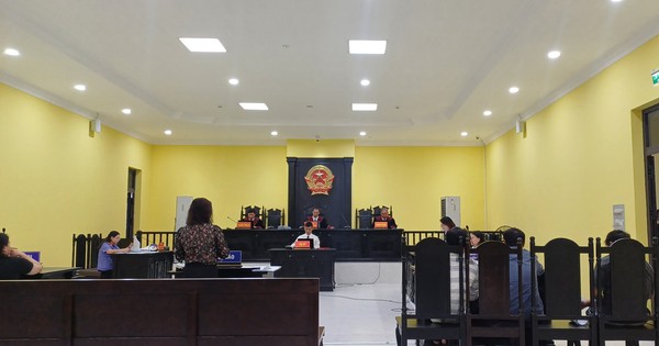 Bác toàn bộ kháng cáo vụ án nữ doanh nhân thủy sản hủy hoại tài sản