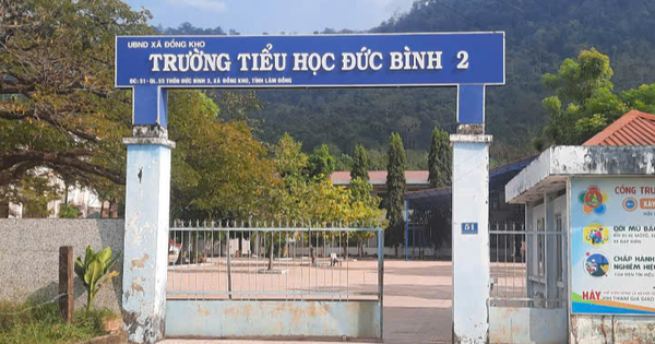 Chủ tịch UBND tỉnh Lâm Đồng chỉ đạo làm rõ vụ giáo viên tố cáo hiệu trưởng